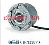 (yng)ERN1387-2048,ID:385488-52h݌