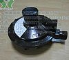 (yng)REGOLV5503H820py(D)r(ji)