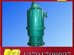 BQS(W)100-40-30NˮÝ(j)չr(ji)**