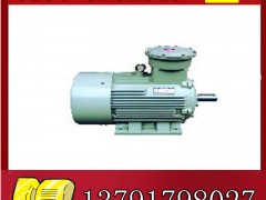 YBK2-315L1-4늙C(j)չr(ji)**