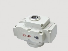 ZYS-50 ZYS-10 ZYг늄^b