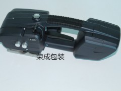 |ݸʽC 늄P300