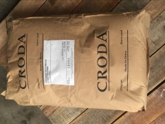 պ̴̴CRODA ߼