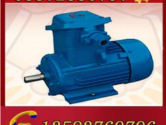 YBK3-200L1-2늙C(j)